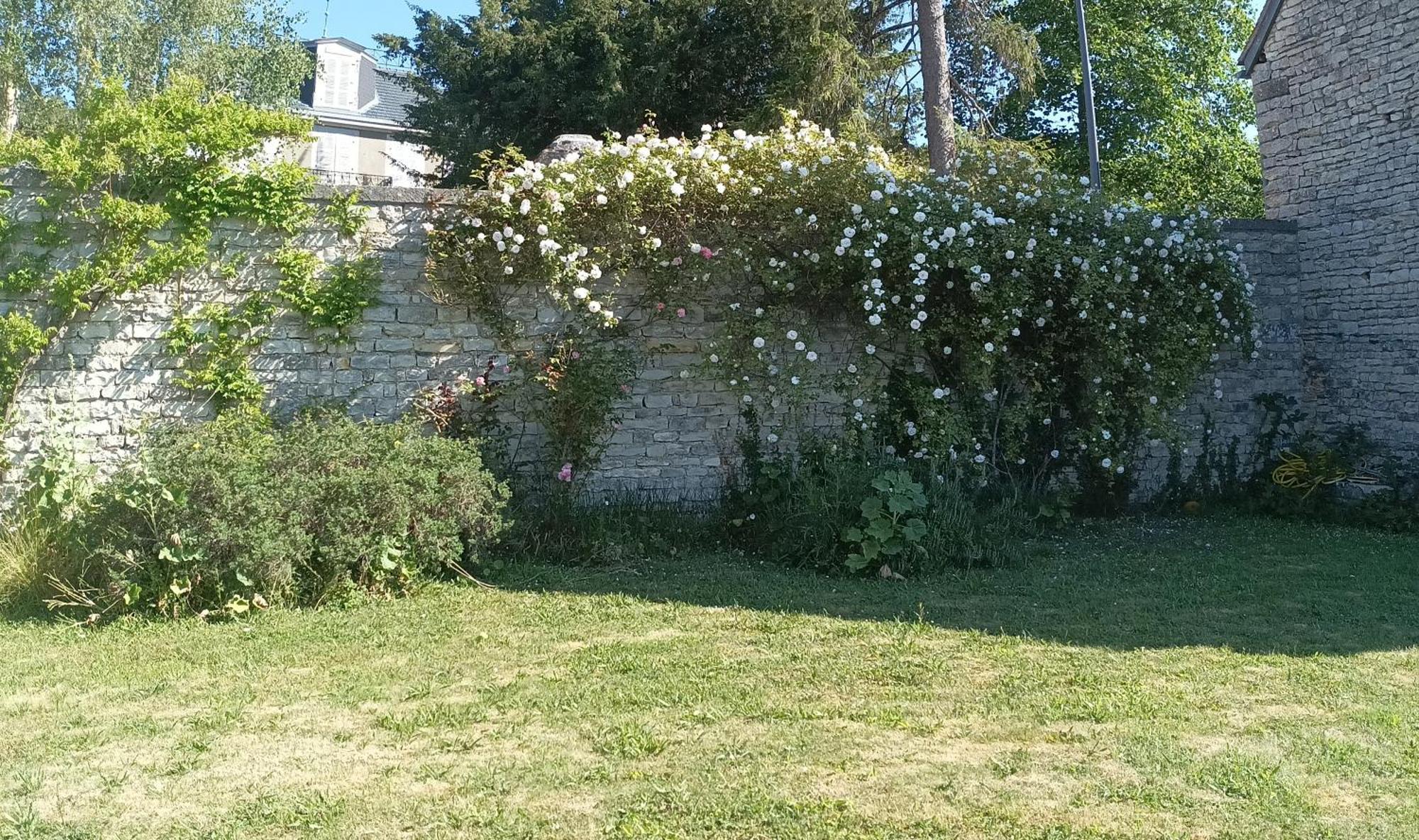 Bed and Breakfast Chez Zaza Stigny Exterior foto